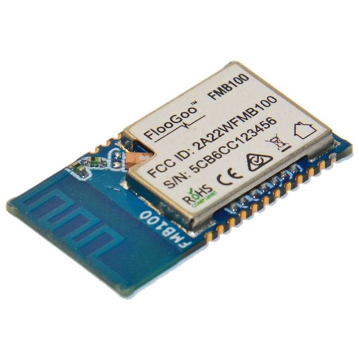 Module FMB100