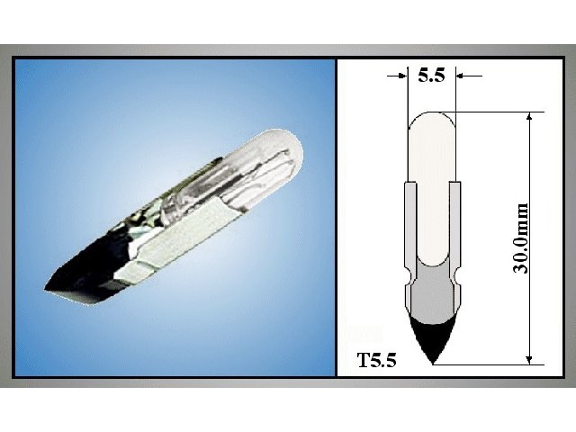 LAMP12V-100-T5