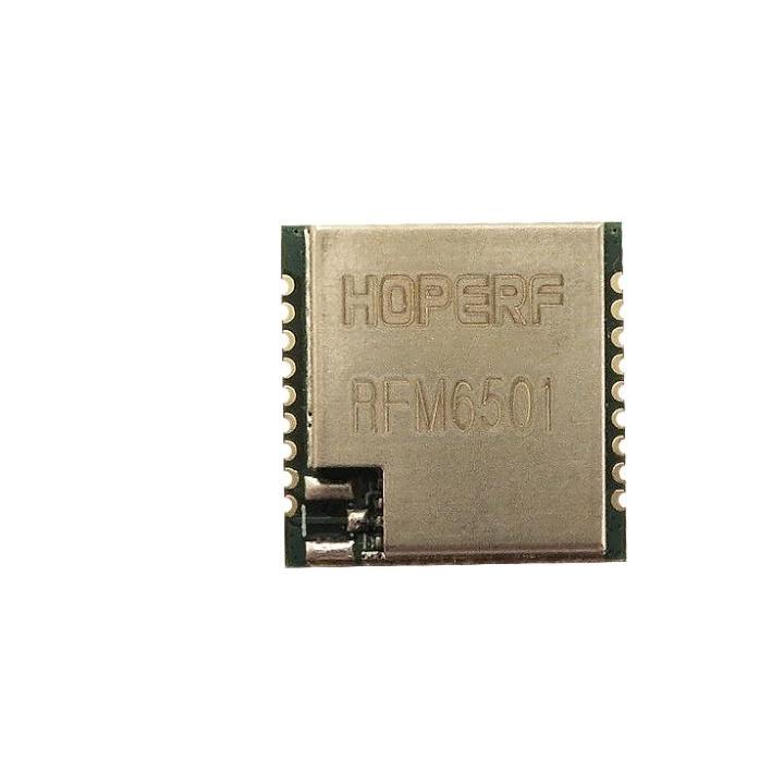 RFM6501W-868S2