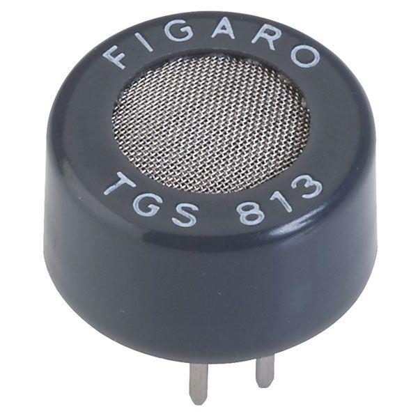 TGS813